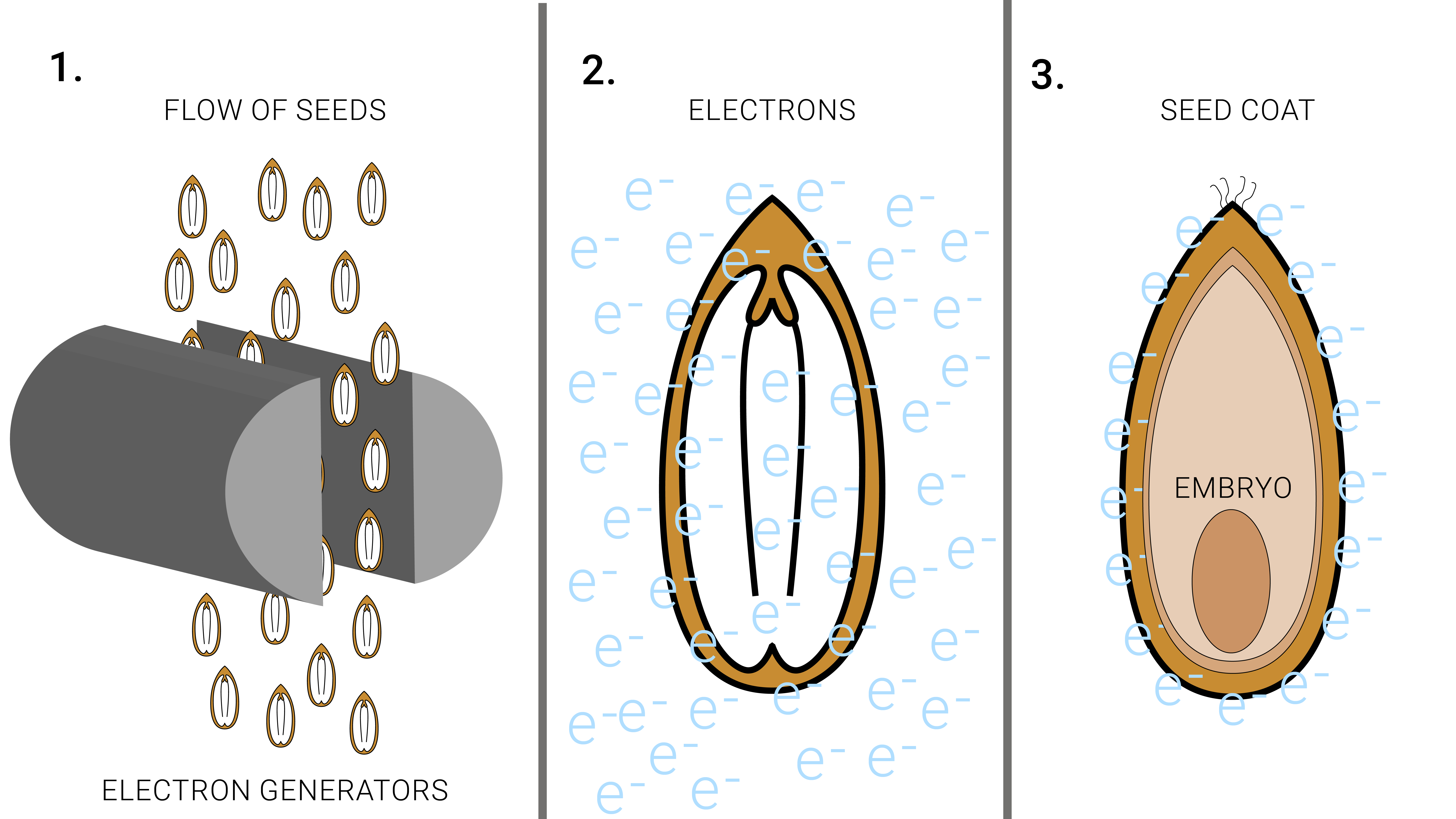 agrotech electron beam